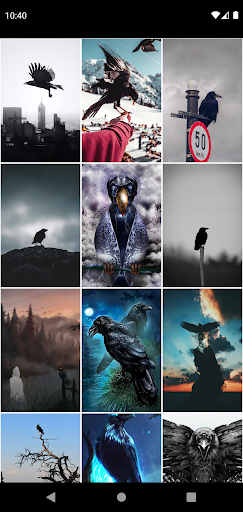 Raven Wallpapers Apps