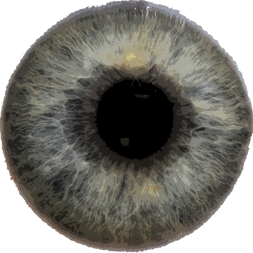 Eye Diagnosis 1.4.3