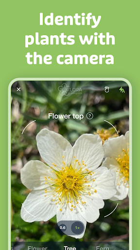 Flora Incognita Apps