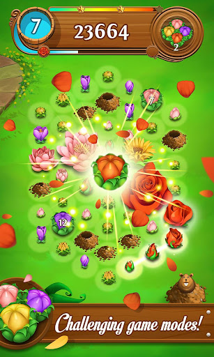 Blossom Blast Saga Apps