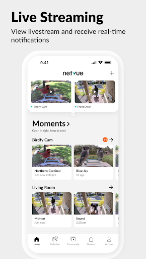 Netvue Next - In Sight In Mind Apps