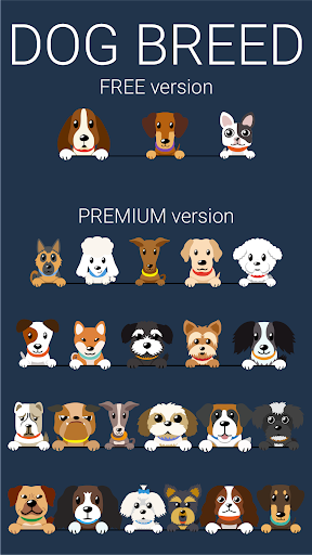 Dog Watch Face by HuskyDEV Apps