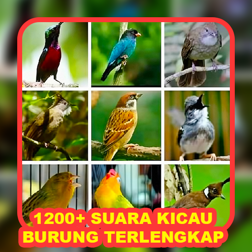 1200+ Suara Kicau Burung MP3 61