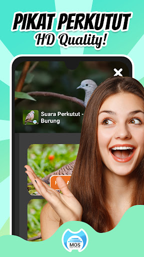 Suara Perkutut - Pikat Burung Apps