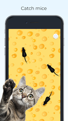 Meow - Cat Toy Games for Cats Apps