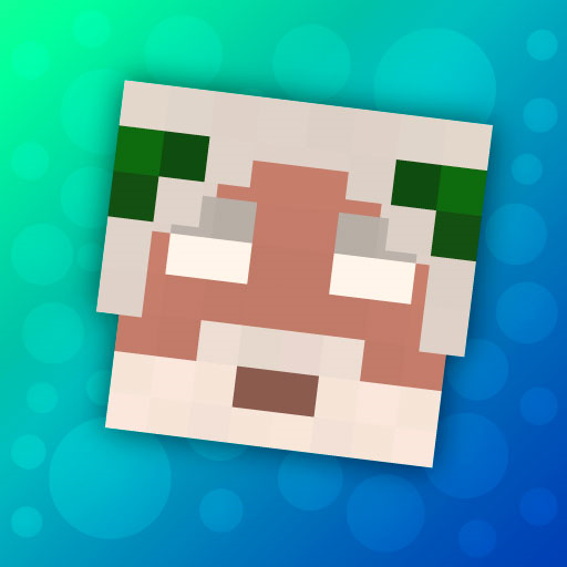 Skins for Craftsman, Minecraft 1.1.3