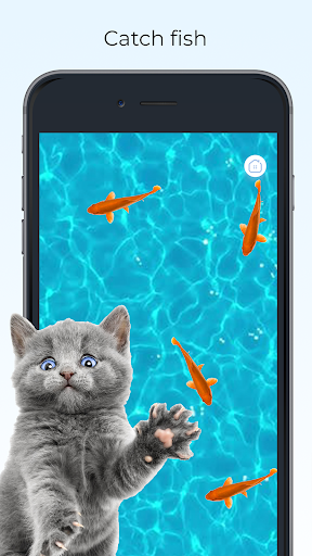 Meow - Cat Toy Games for Cats Apps